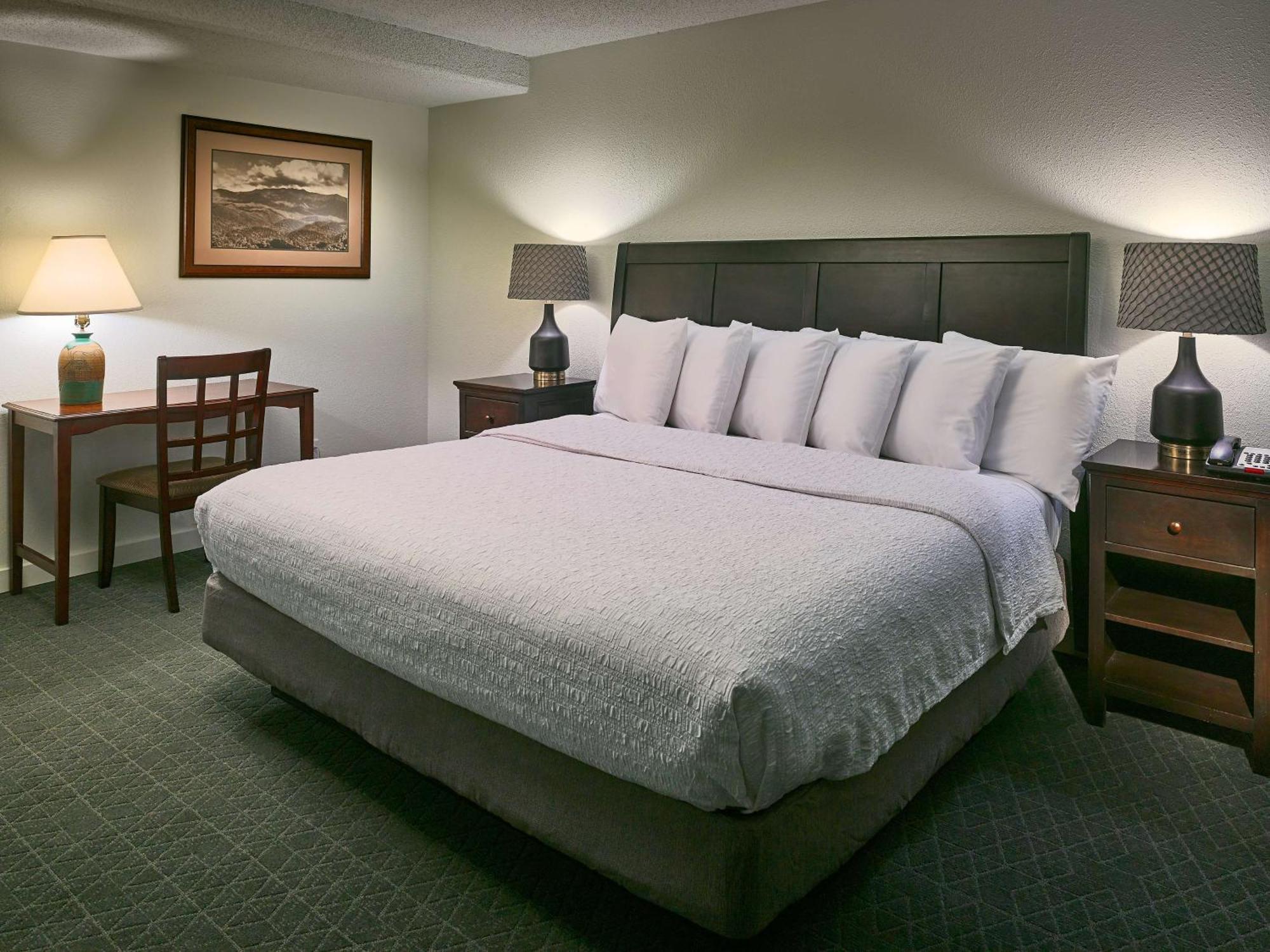 Hampton Inn גטלינבורג מראה חיצוני תמונה